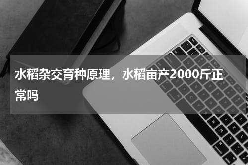 水稻杂交育种原理，水稻亩产2000斤正常吗