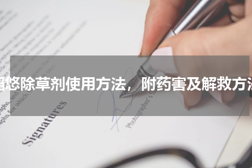 稻悠除草剂使用方法，附药害及解救方法