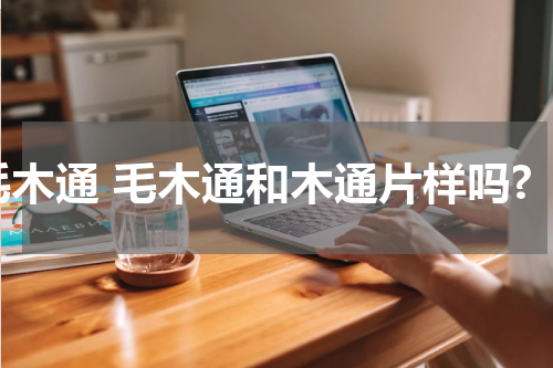 毛木通 毛木通和木通片样吗?