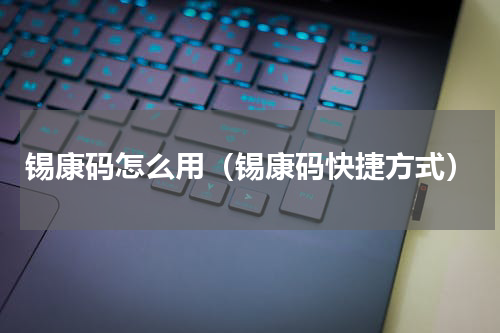 锡康码怎么用（锡康码快捷方式）