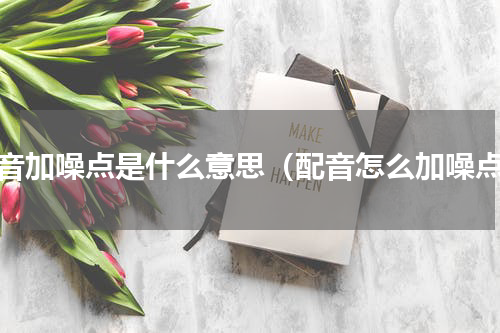 配音加噪点是什么意思（配音怎么加噪点）