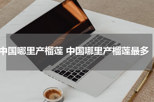 中国哪里产榴莲 中国哪里产榴莲最多