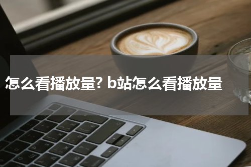 怎么看播放量? b站怎么看播放量