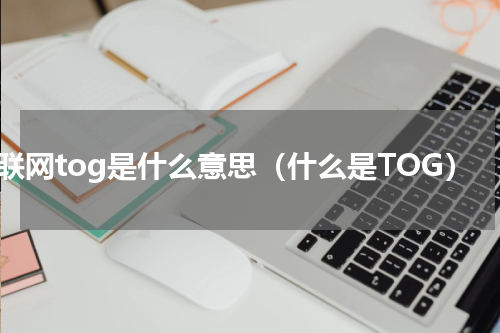 互联网tog是什么意思（什么是TOG）