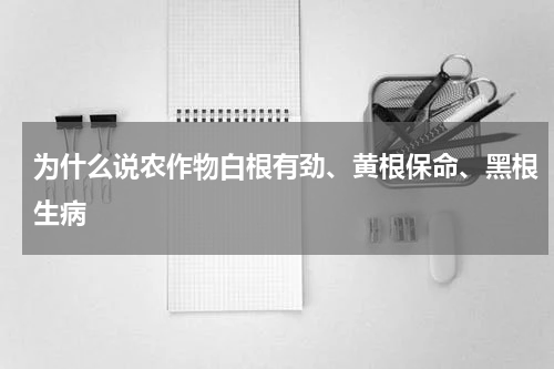 为什么说农作物白根有劲、黄根保命、黑根生病