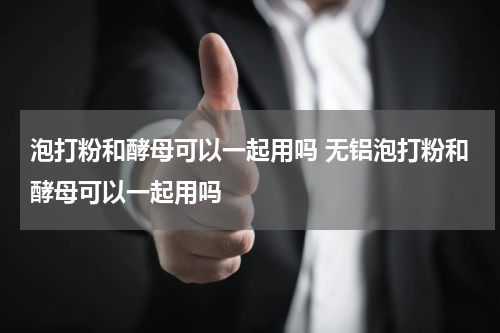 泡打粉和酵母可以一起用吗 无铝泡打粉和酵母可以一起用吗