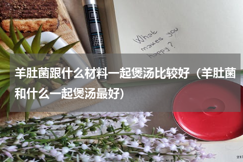 羊肚菌跟什么材料一起煲汤比较好（羊肚菌和什么一起煲汤最好）