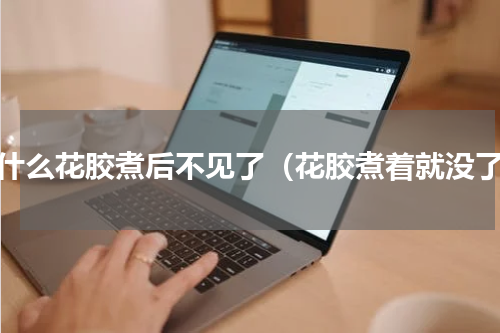 为什么花胶煮后不见了（花胶煮着就没了）