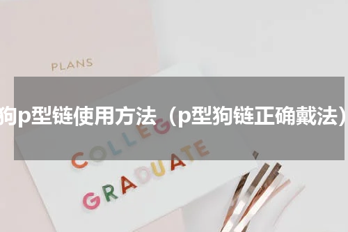 狗狗p型链使用方法（p型狗链正确戴法）