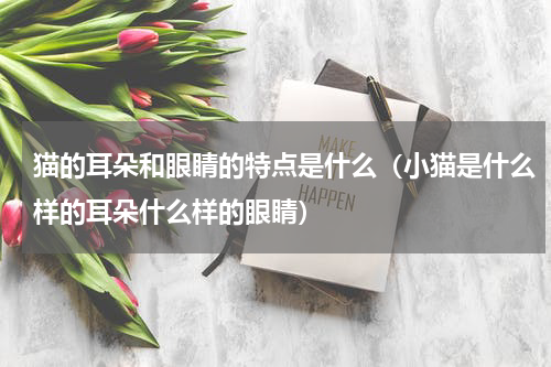 猫的耳朵和眼睛的特点是什么（小猫是什么样的耳朵什么样的眼睛）