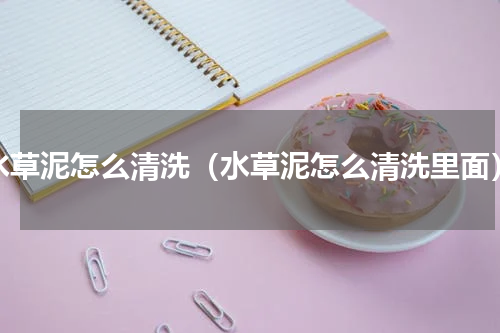 水草泥怎么清洗（水草泥怎么清洗里面）