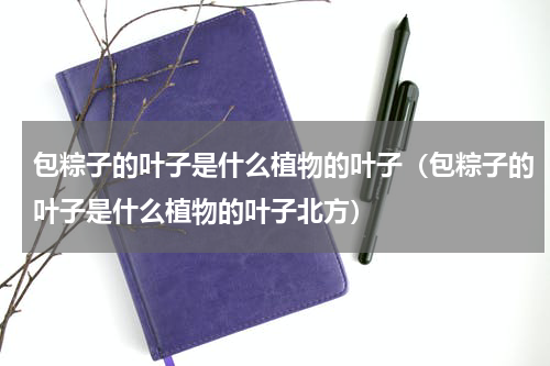 包粽子的叶子是什么植物的叶子（包粽子的叶子是什么植物的叶子北方）