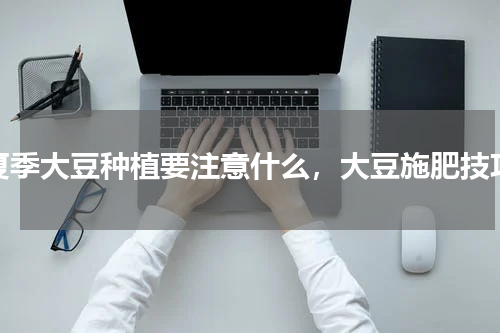 夏季大豆种植要注意什么，大豆施肥技巧