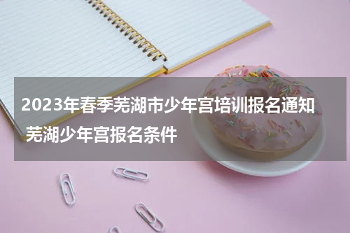 2023年春季芜湖市少年宫培训报名通知 芜湖少年宫报名条件