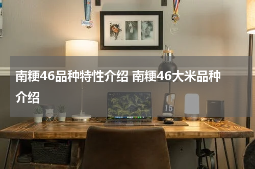 南粳46品种特性介绍 南粳46大米品种介绍