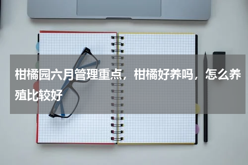 柑橘园六月管理重点，柑橘好养吗，怎么养殖比较好