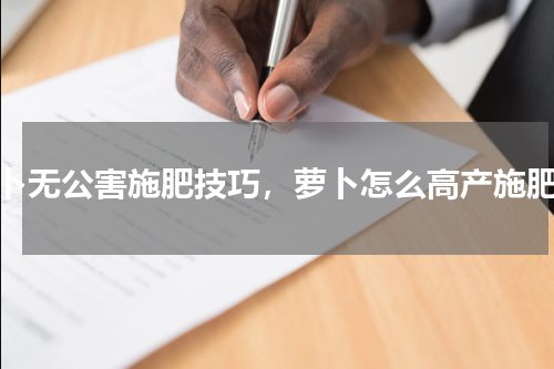 萝卜无公害施肥技巧，萝卜怎么高产施肥好