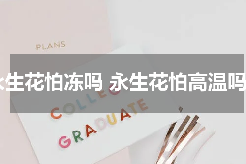 永生花怕冻吗 永生花怕高温吗