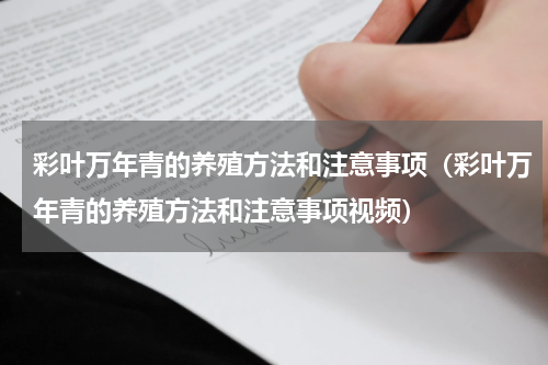 彩叶万年青的养殖方法和注意事项（彩叶万年青的养殖方法和注意事项视频）