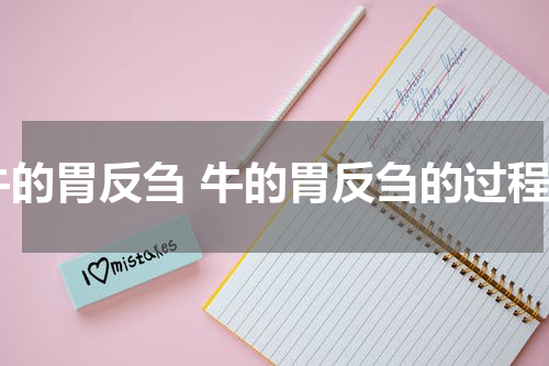 牛的胃反刍 牛的胃反刍的过程