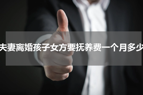 夫妻离婚孩子女方要抚养费一个月多少