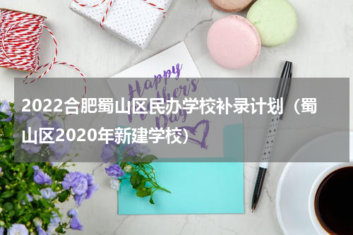 2022合肥蜀山区民办学校补录计划（蜀山区2020年新建学校）