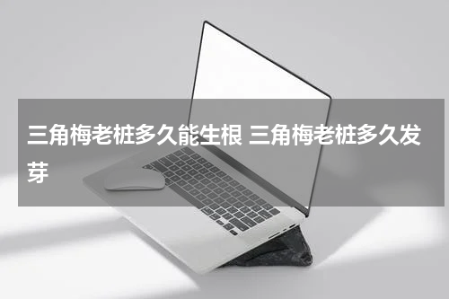 三角梅老桩多久能生根 三角梅老桩多久发芽