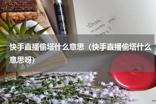 快手直播偷塔什么意思（快手直播偷塔什么意思呀）