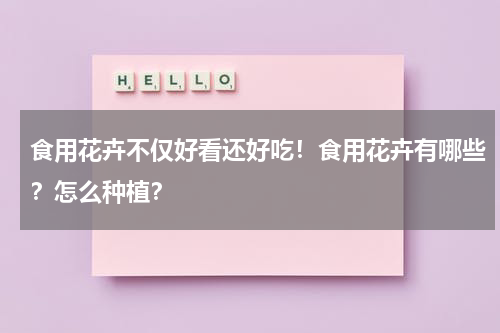 食用花卉不仅好看还好吃！食用花卉有哪些？怎么种植？