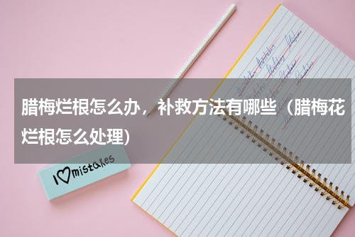 腊梅烂根怎么办，补救方法有哪些（腊梅花烂根怎么处理）