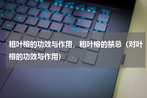 粗叶榕的功效与作用，粗叶榕的禁忌（对叶榕的功效与作用）