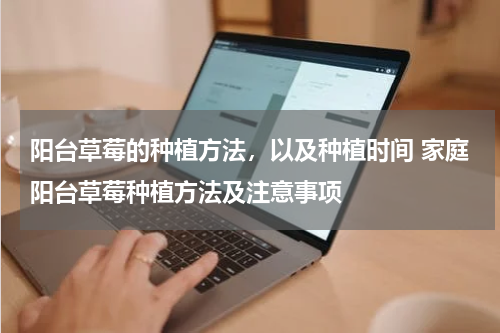 阳台草莓的种植方法，以及种植时间 家庭阳台草莓种植方法及注意事项