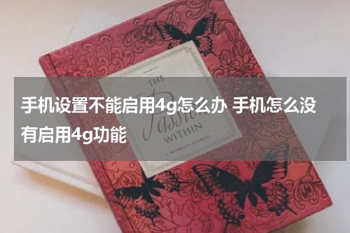 手机设置不能启用4g怎么办 手机怎么没有启用4g功能