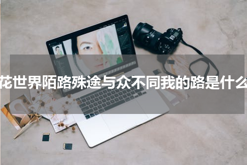 花花世界陌路殊途与众不同我的路是什么歌