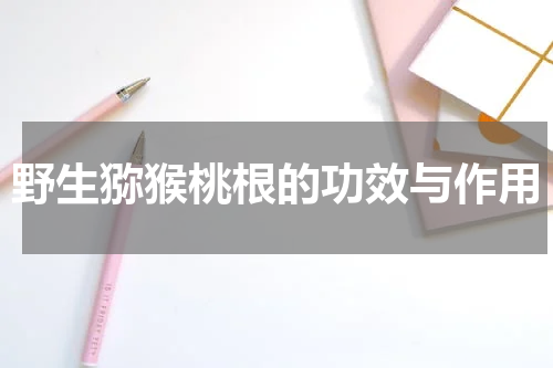 野生猕猴桃根的功效与作用