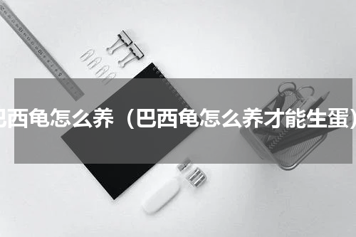 巴西龟怎么养（巴西龟怎么养才能生蛋）