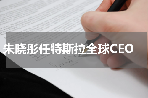 朱晓彤任特斯拉全球CEO