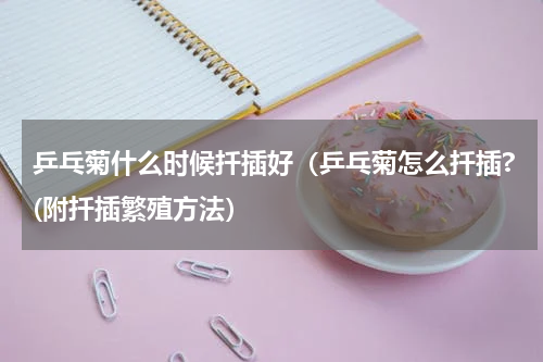 乒乓菊什么时候扦插好（乒乓菊怎么扦插?(附扦插繁殖方法）