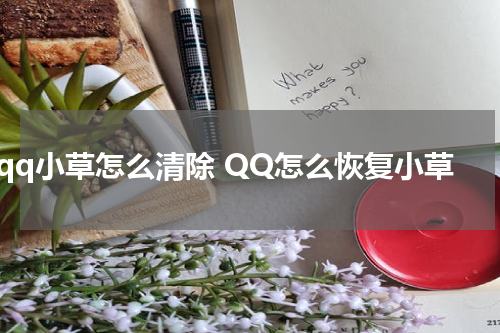qq小草怎么清除 QQ怎么恢复小草