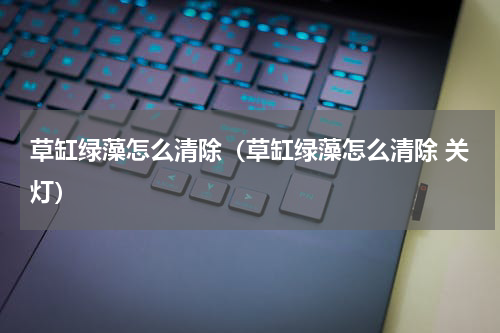 草缸绿藻怎么清除（草缸绿藻怎么清除 关灯）