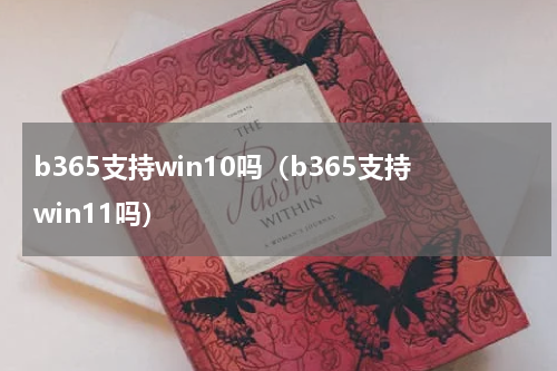 b365支持win10吗（b365支持win11吗）