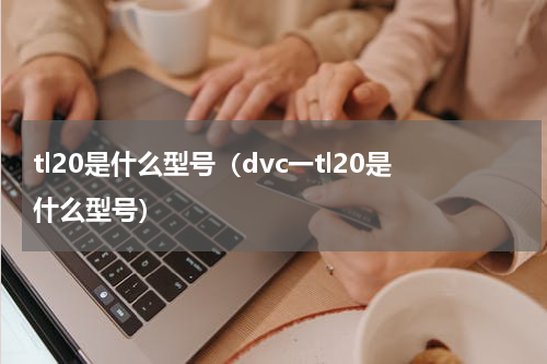 tl20是什么型号（dvc一tl20是什么型号）