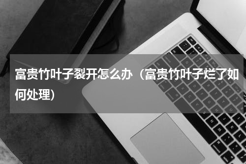 富贵竹叶子裂开怎么办（富贵竹叶子烂了如何处理）