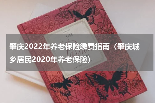肇庆2022年养老保险缴费指南（肇庆城乡居民2020年养老保险）