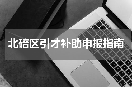 北碚区引才补助申报指南
