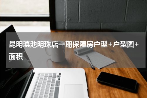 昆明滇池明珠店一期保障房户型+户型图+面积
