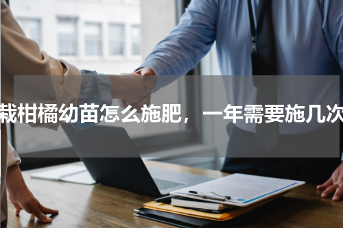 新栽柑橘幼苗怎么施肥，一年需要施几次肥