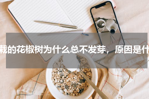 新栽的花椒树为什么总不发芽，原因是什么