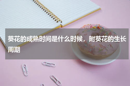 葵花的成熟时间是什么时候，附葵花的生长周期