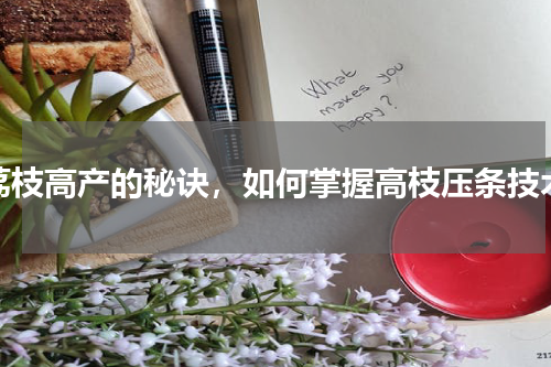 荔枝高产的秘诀，如何掌握高枝压条技术